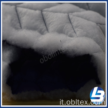 OBL20-Q-053 Nylon Shine TAFFETTA TAFFING Tessuto per cappotto